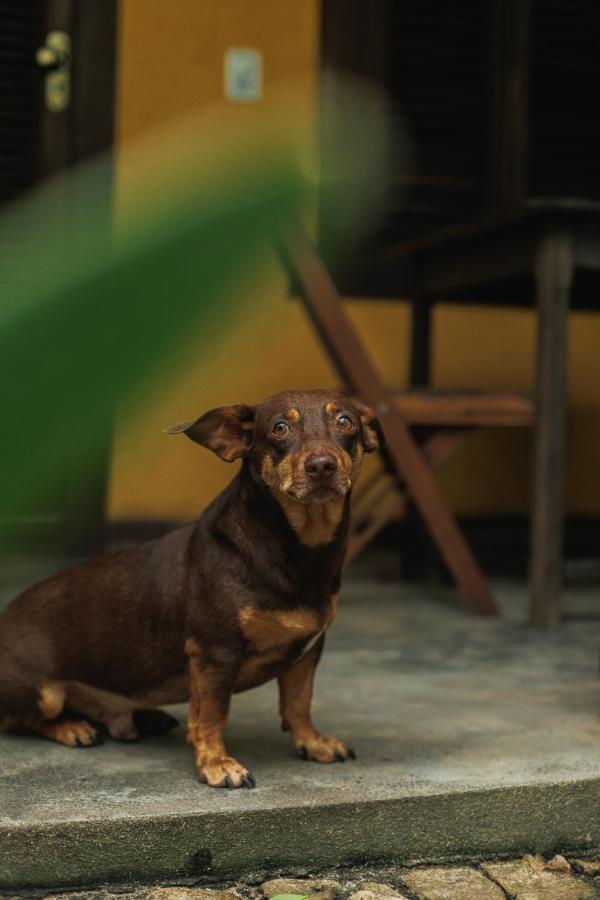 Pousada Pouso Da Mare Velha Boipeba Exterior foto